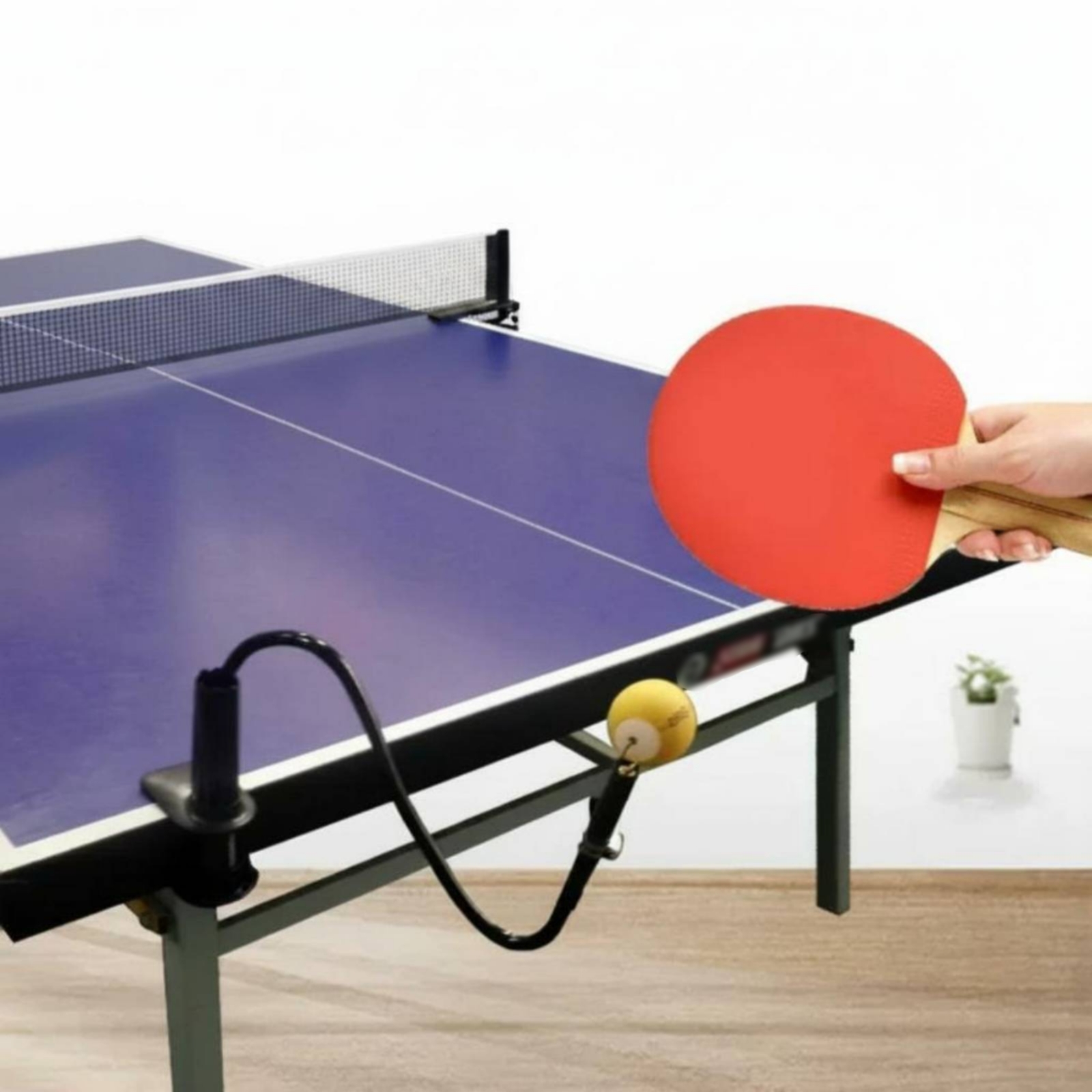 Aide à l'entraînement de tenni - Table Tennis Youtube avis et prix
