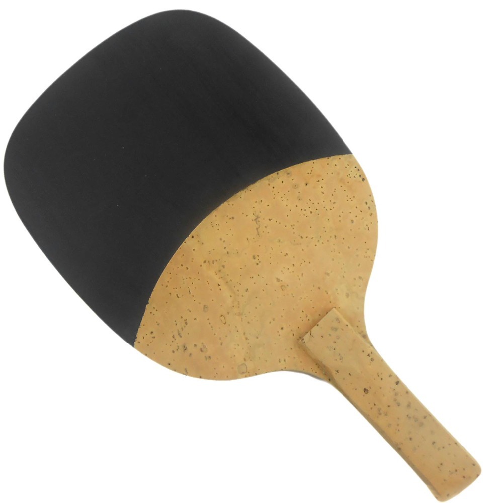 PALIO 8603 carbone titane lame - Table Tennis Launcher avis et prix