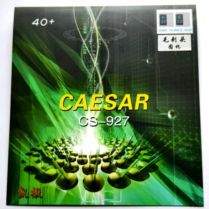 KaFSU – Tennis de Table OX dur - Table Tennis Head To Head avis et prix